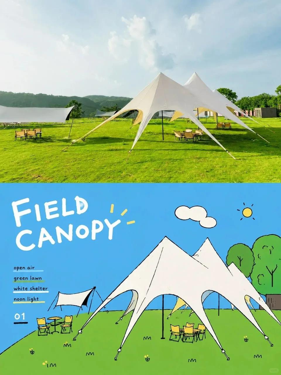 Field Canopy & City Camp Editorial Travel-Journal Posters - Image prompt preview