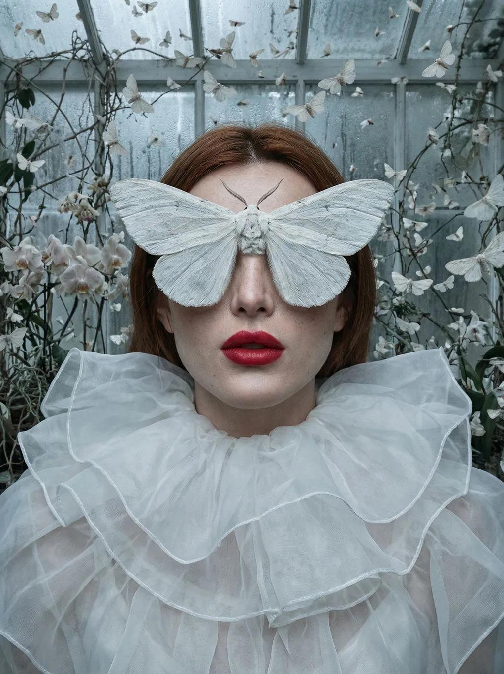 vibe_title_en": "Porcelain Lepidoptera",