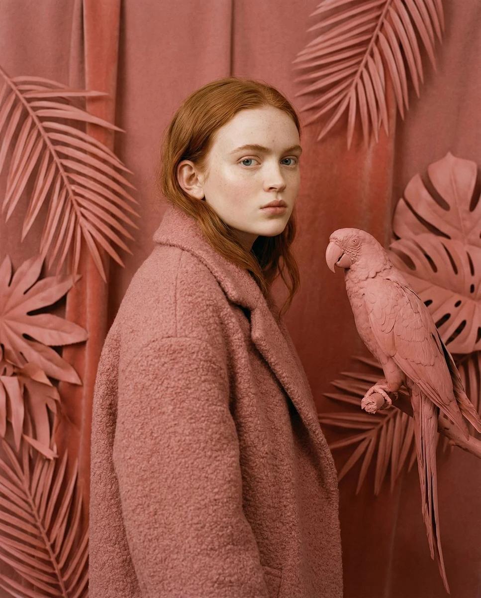 vibe_title_en": "Velvet Camouflage",